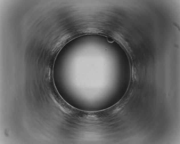 X0000103240157200808281449