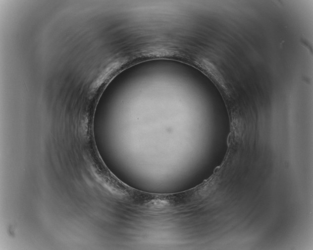 X0000103240159200808281449