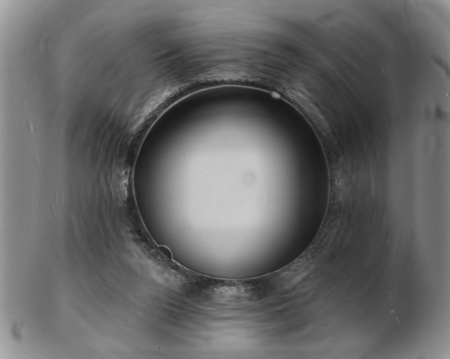 X0000103240160200808281449