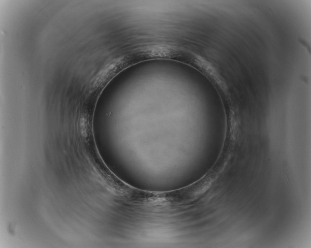 X0000103240161200808281449