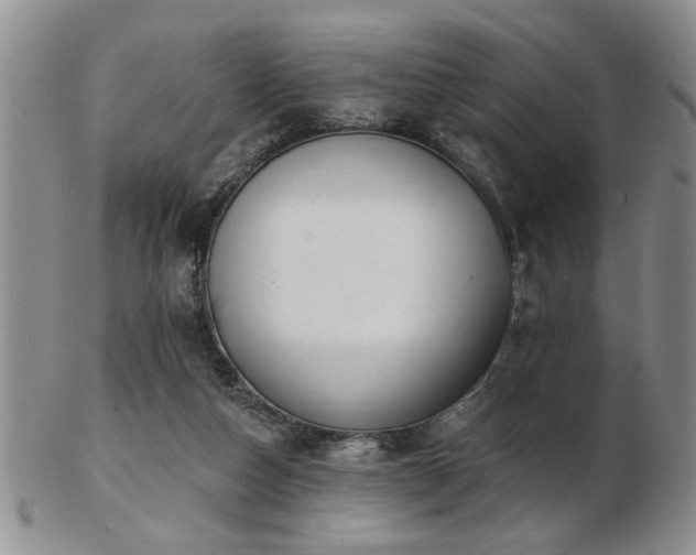 X0000103240162200808281449