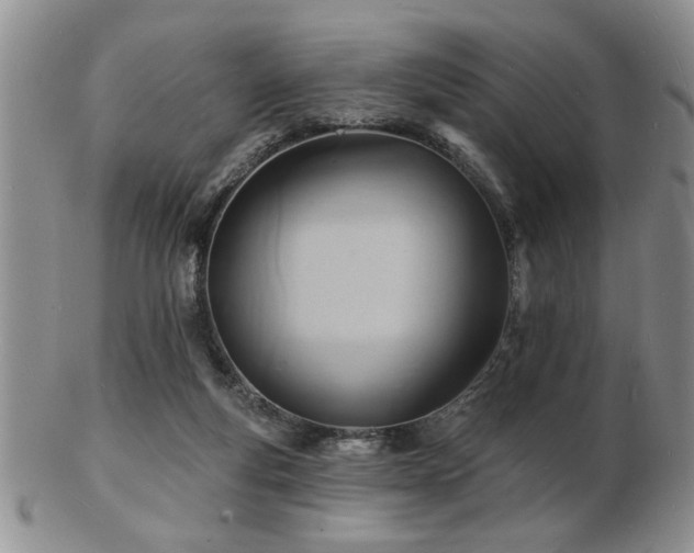 X0000103240163200808281449