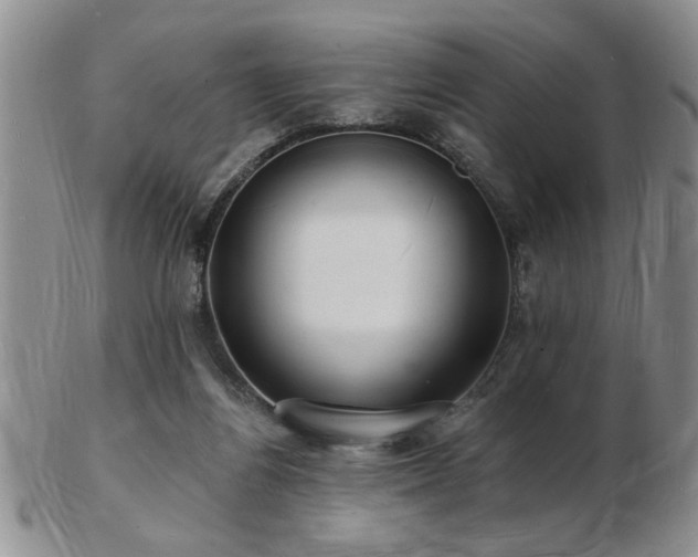 X0000103240164200808281449