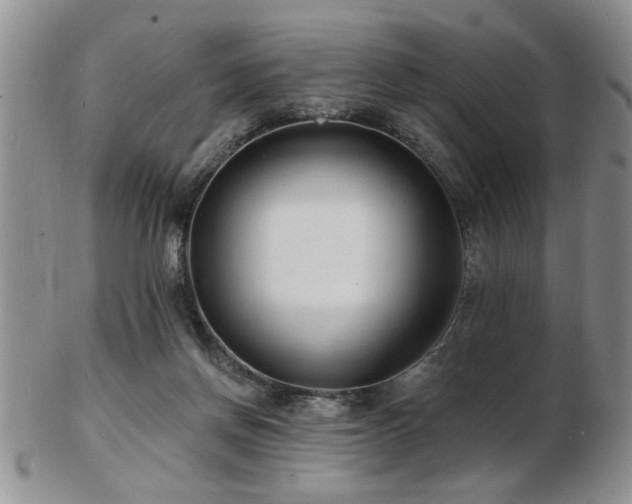 X0000103240166200808281449