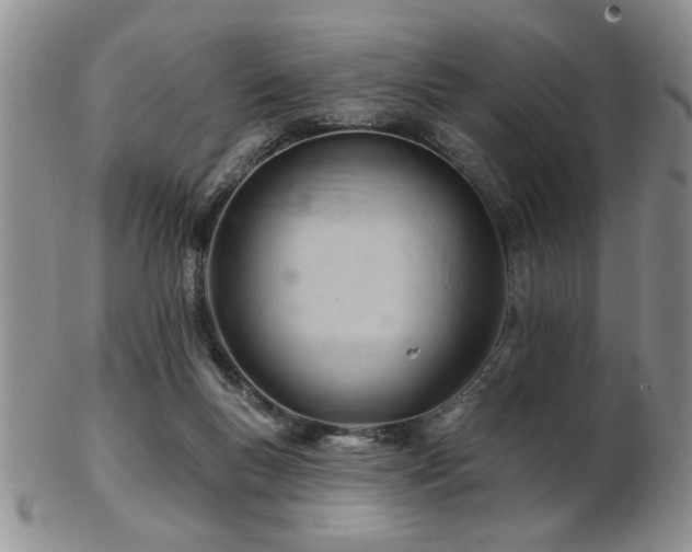X0000103240167200808281449