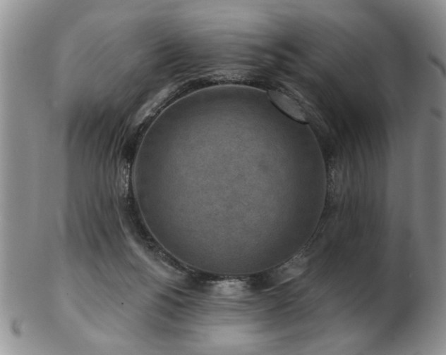 X0000103240168200808281449