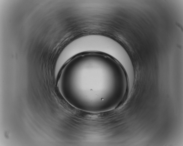 X0000103240170200808281449