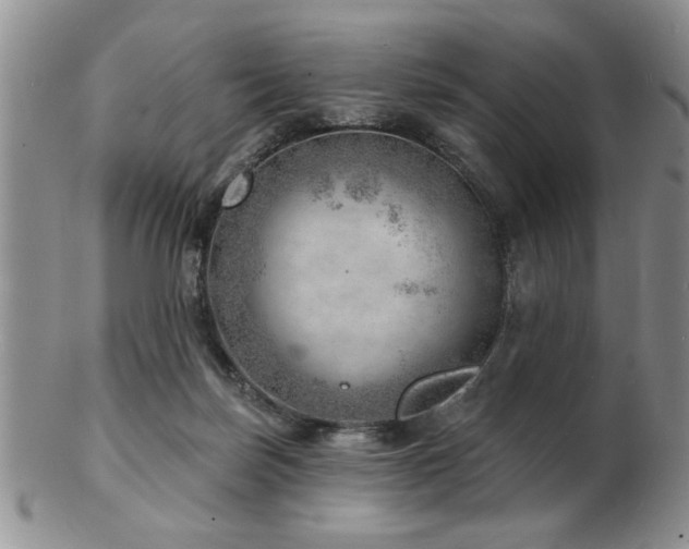 X0000103240171200808281449