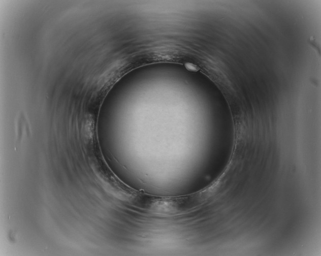 X0000103240174200808281449