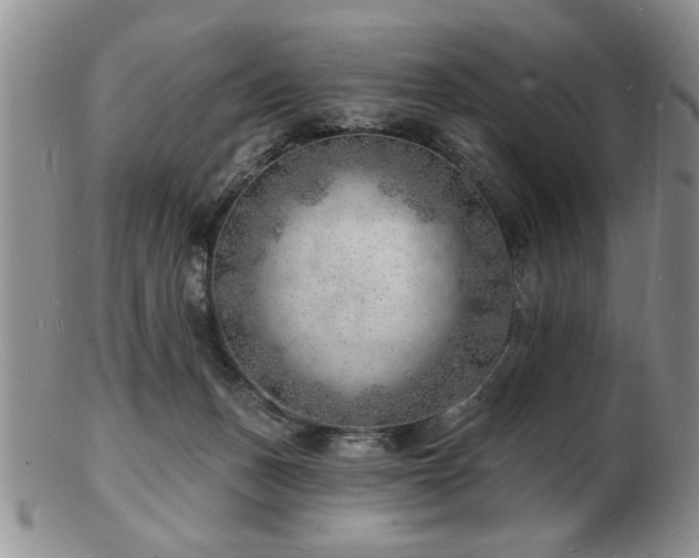X0000103240175200808281449
