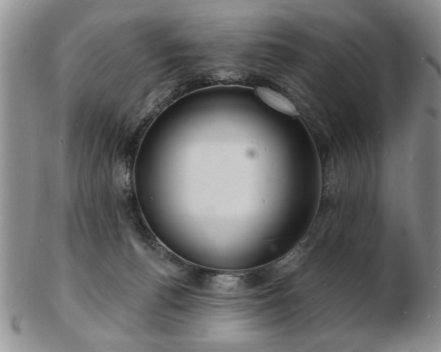 X0000103240176200808281449