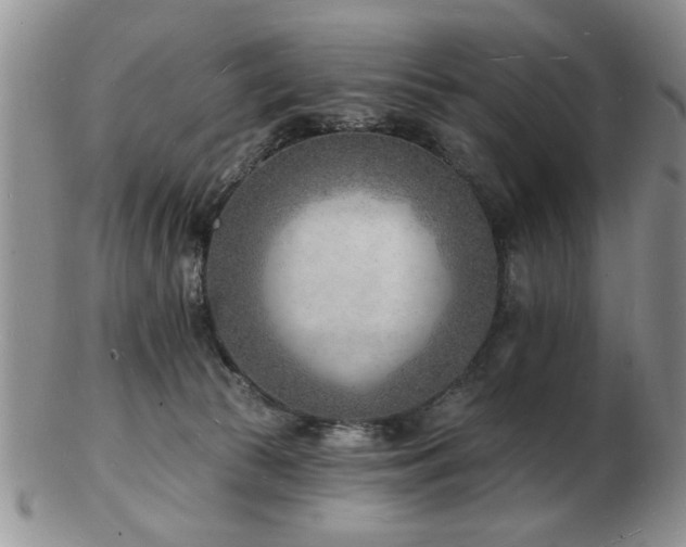 X0000103240177200808281449