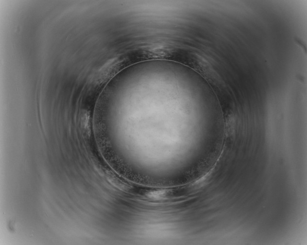 X0000103240178200808281449