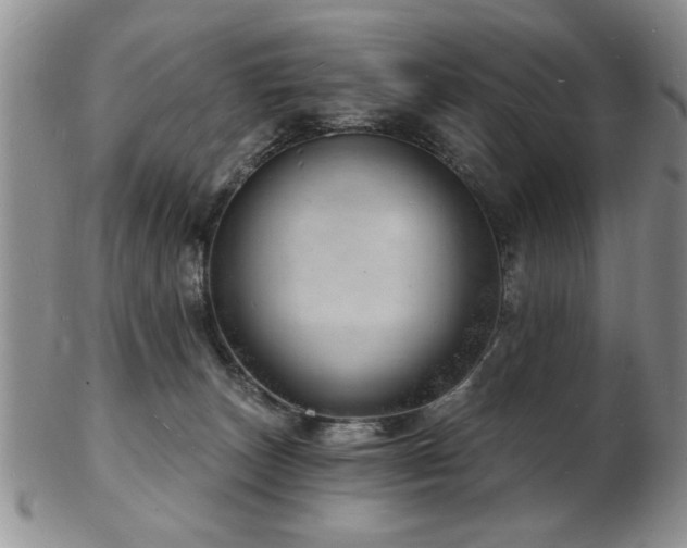 X0000103240179200808281449