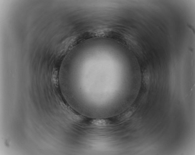 X0000103240181200808281449