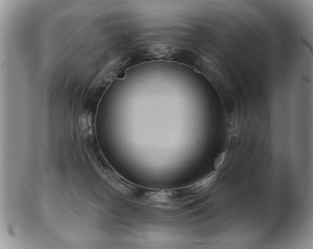 X0000103240182200808281449