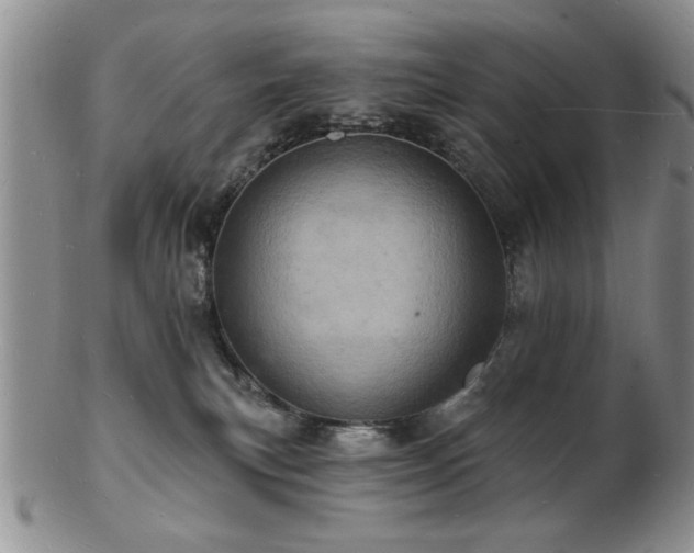 X0000103240183200808281449