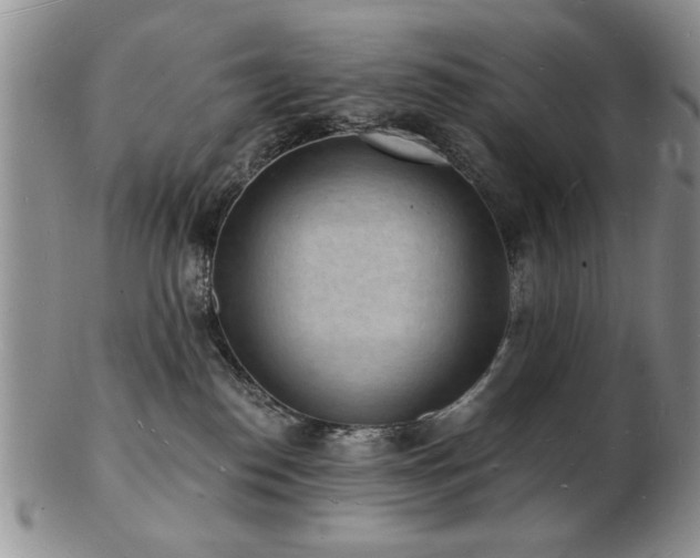 X0000103240186200808281449