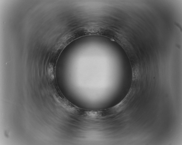 X0000103240187200808281449