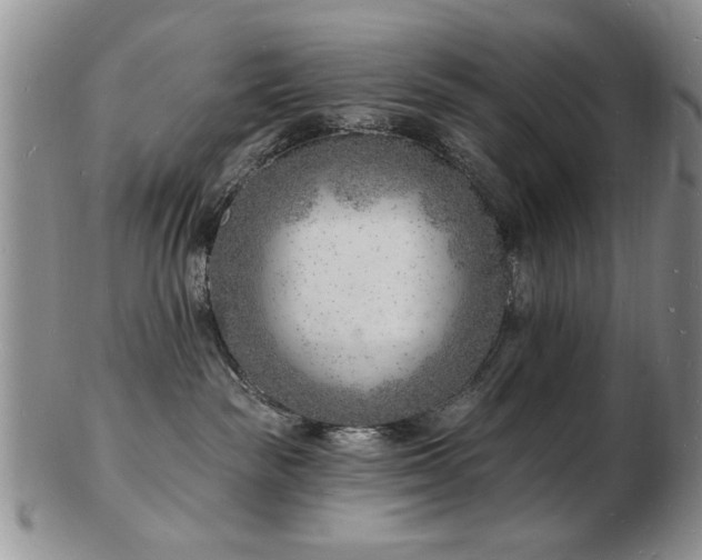 X0000103240189200808281449