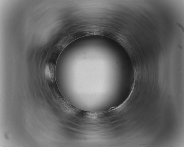 X0000103240190200808281449