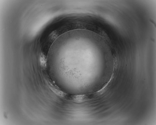 X0000103240191200808281449
