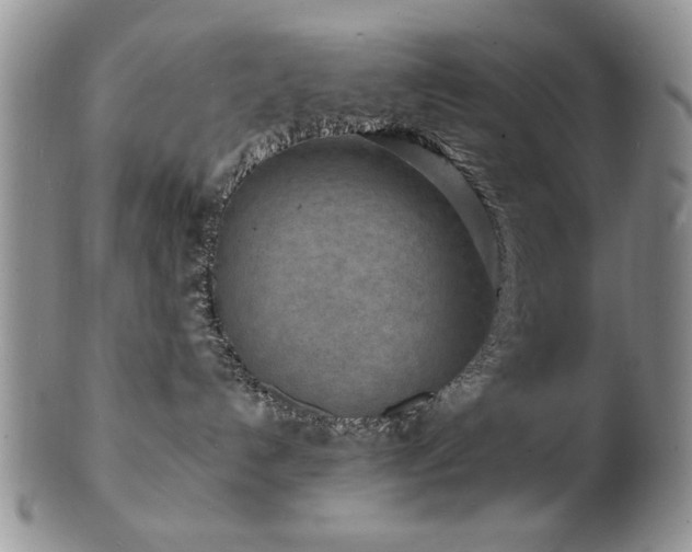 X0000103240192200808281449