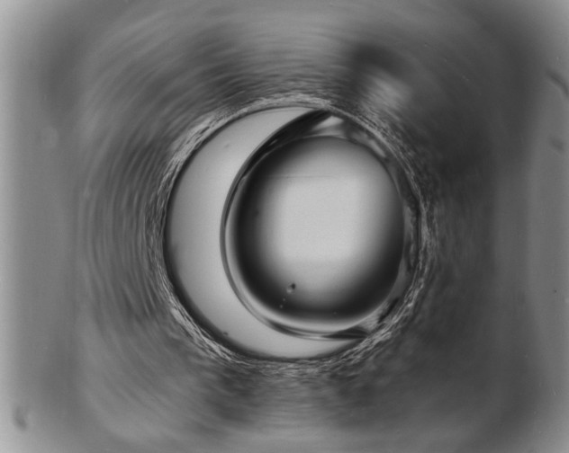 X0000103240193200808281448