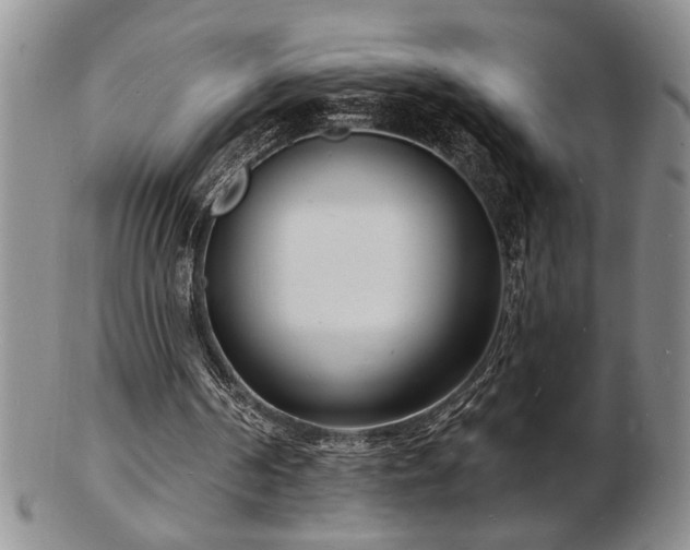 X0000103240194200808281448