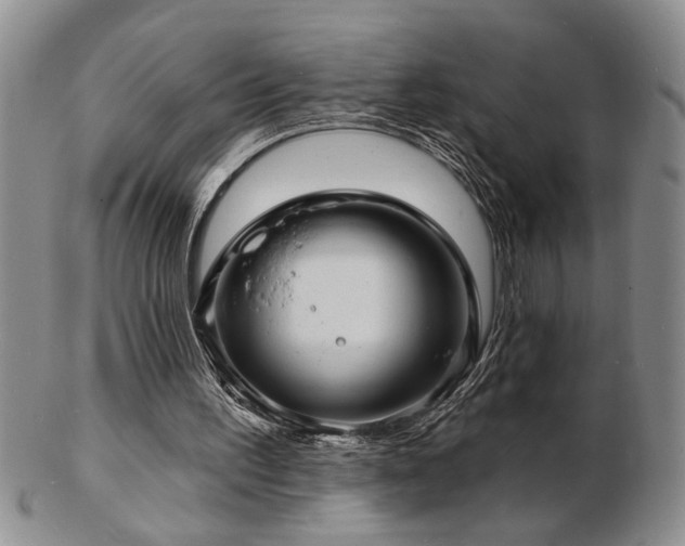X0000103240195200808281448