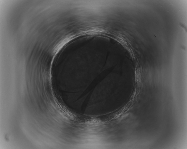 X0000103240196200808281448