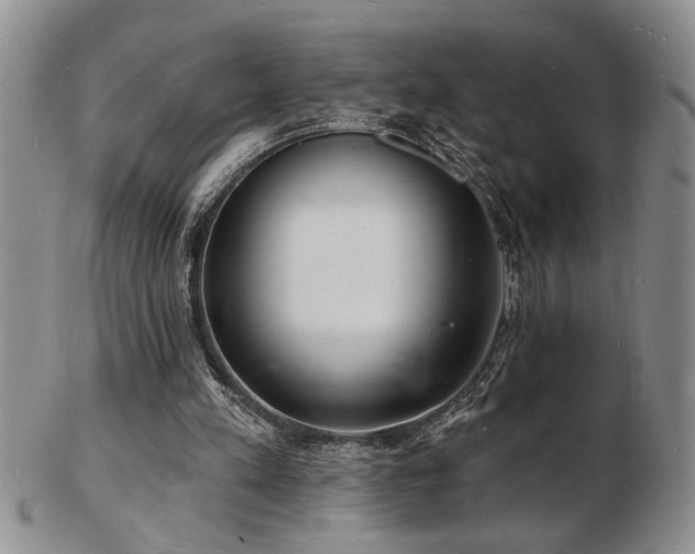 X0000103240197200808281448