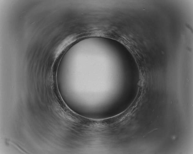 X0000103240198200808281448