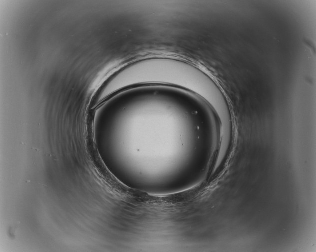 X0000103240199200808281448