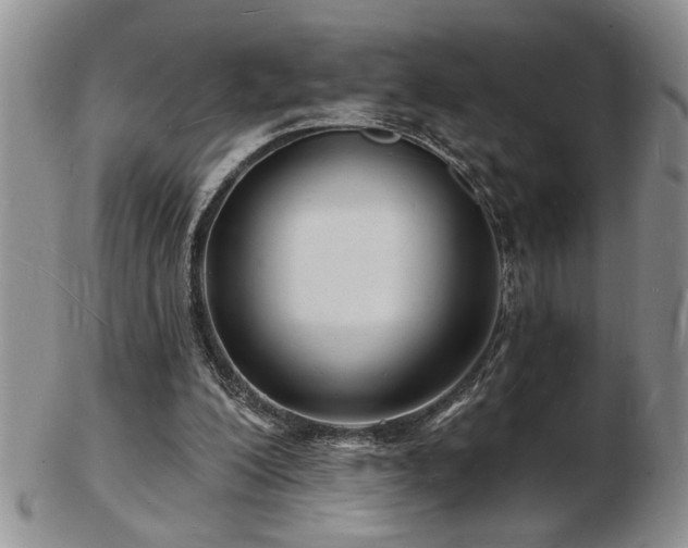 X0000103240200200808281448