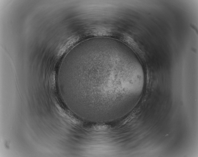 X0000103240202200808281448