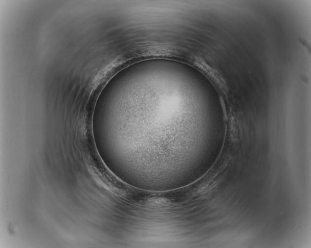 X0000103240203200808281448