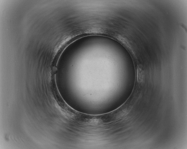 X0000103240204200808281448