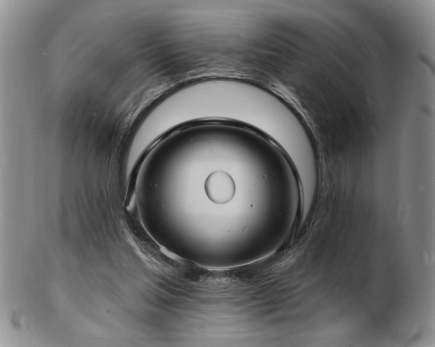 X0000103240205200808281448