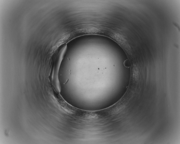 X0000103240206200808281448