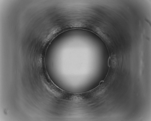 X0000103240207200808281448