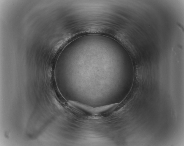 X0000103240208200808281448