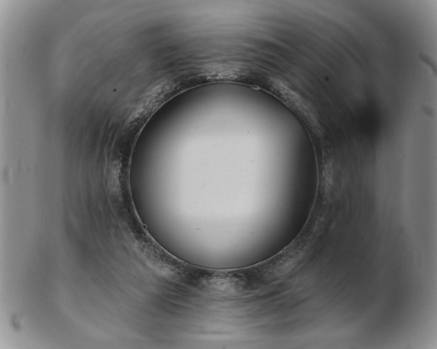 X0000103240209200808281448