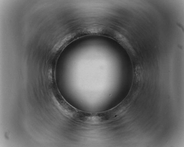 X0000103240212200808281448