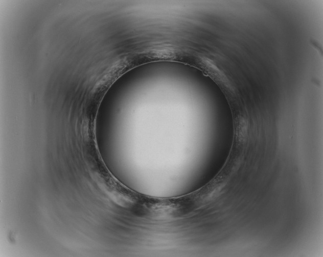 X0000103240213200808281448
