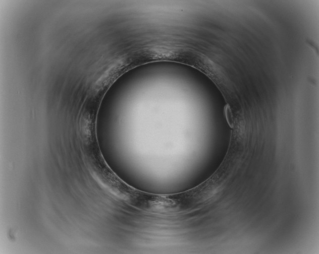 X0000103240215200808281448