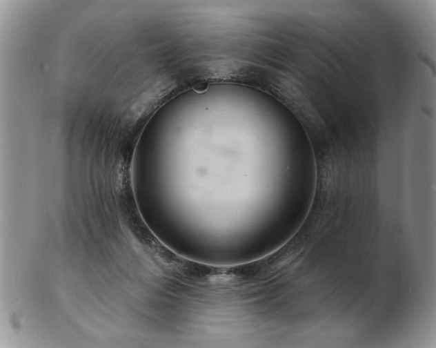X0000103240216200808281448