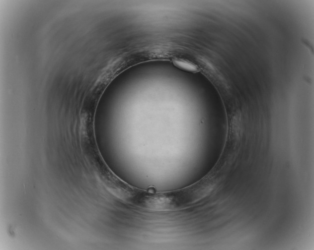 X0000103240217200808281448