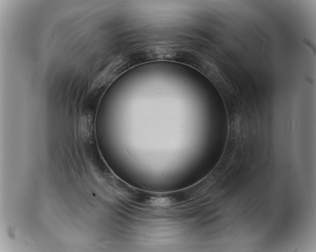 X0000103240218200808281448