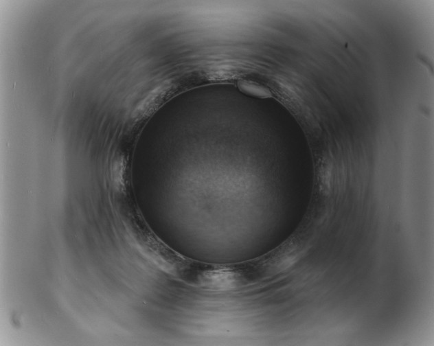 X0000103240219200808281448